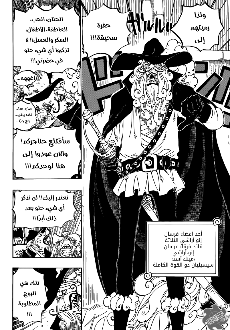 One Piece: Chapter 808 - Page 13