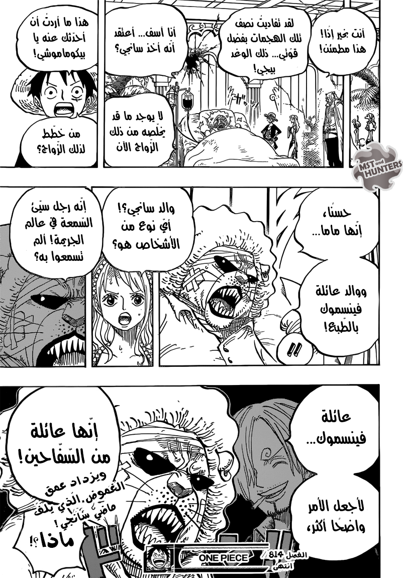 One Piece: Chapter 814 - Page 16