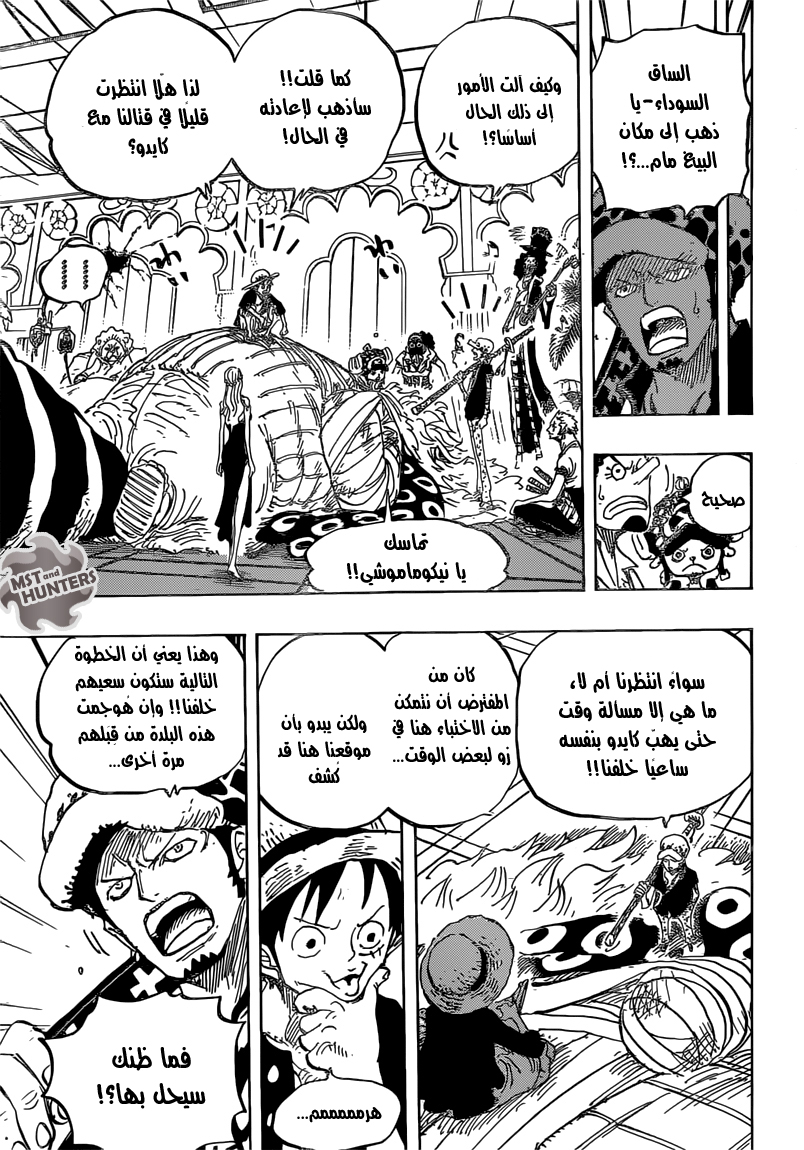 One Piece: Chapter 815 - Page 13