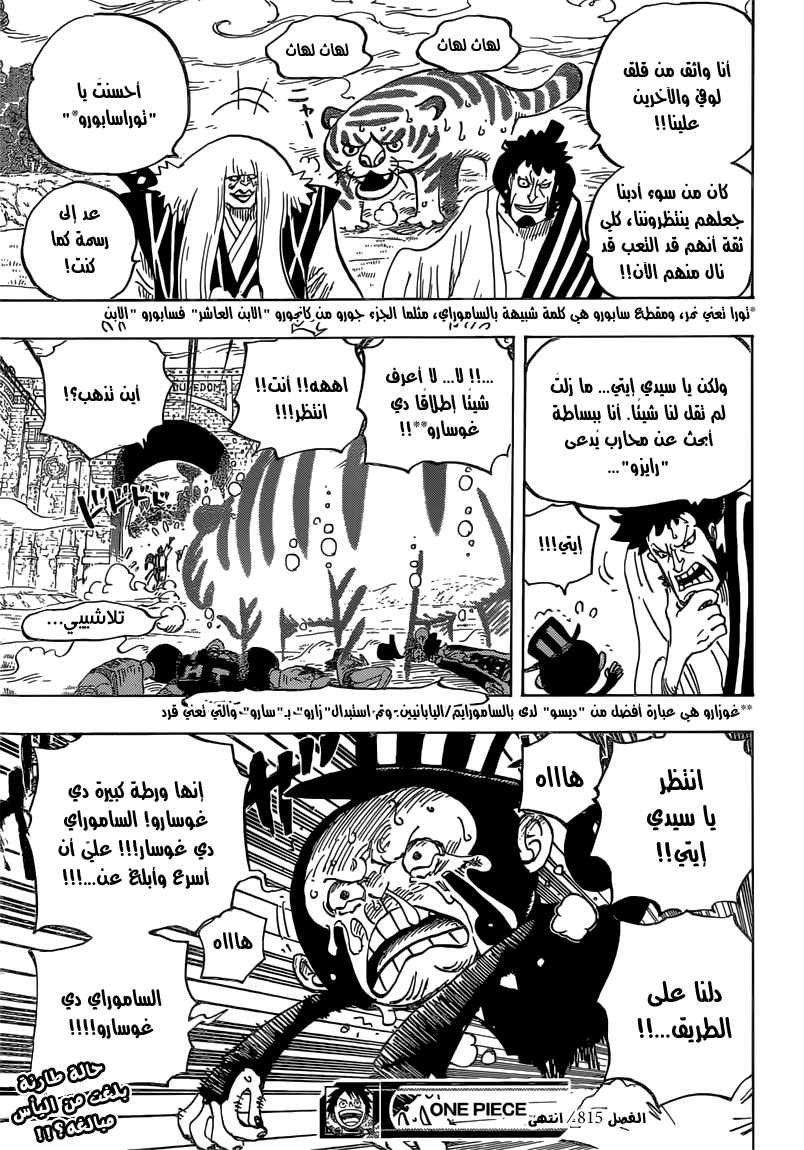 One Piece: Chapter 815 - Page 17