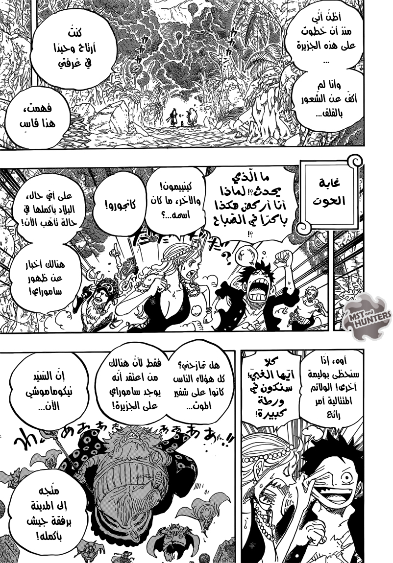 One Piece: Chapter 816 - Page 5