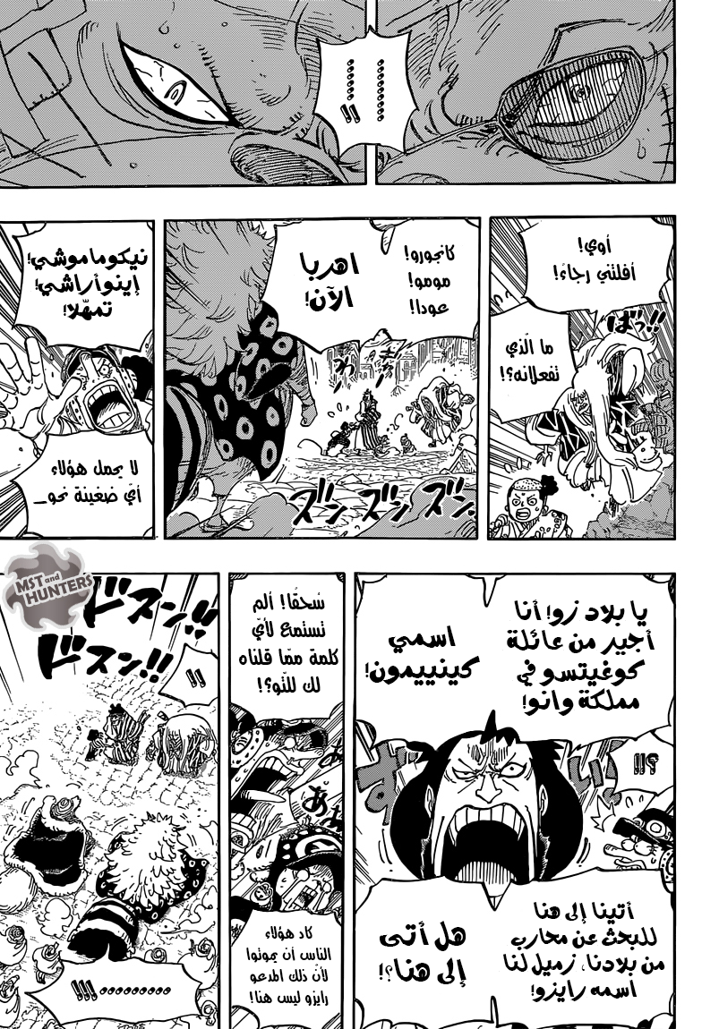 One Piece: Chapter 816 - Page 13