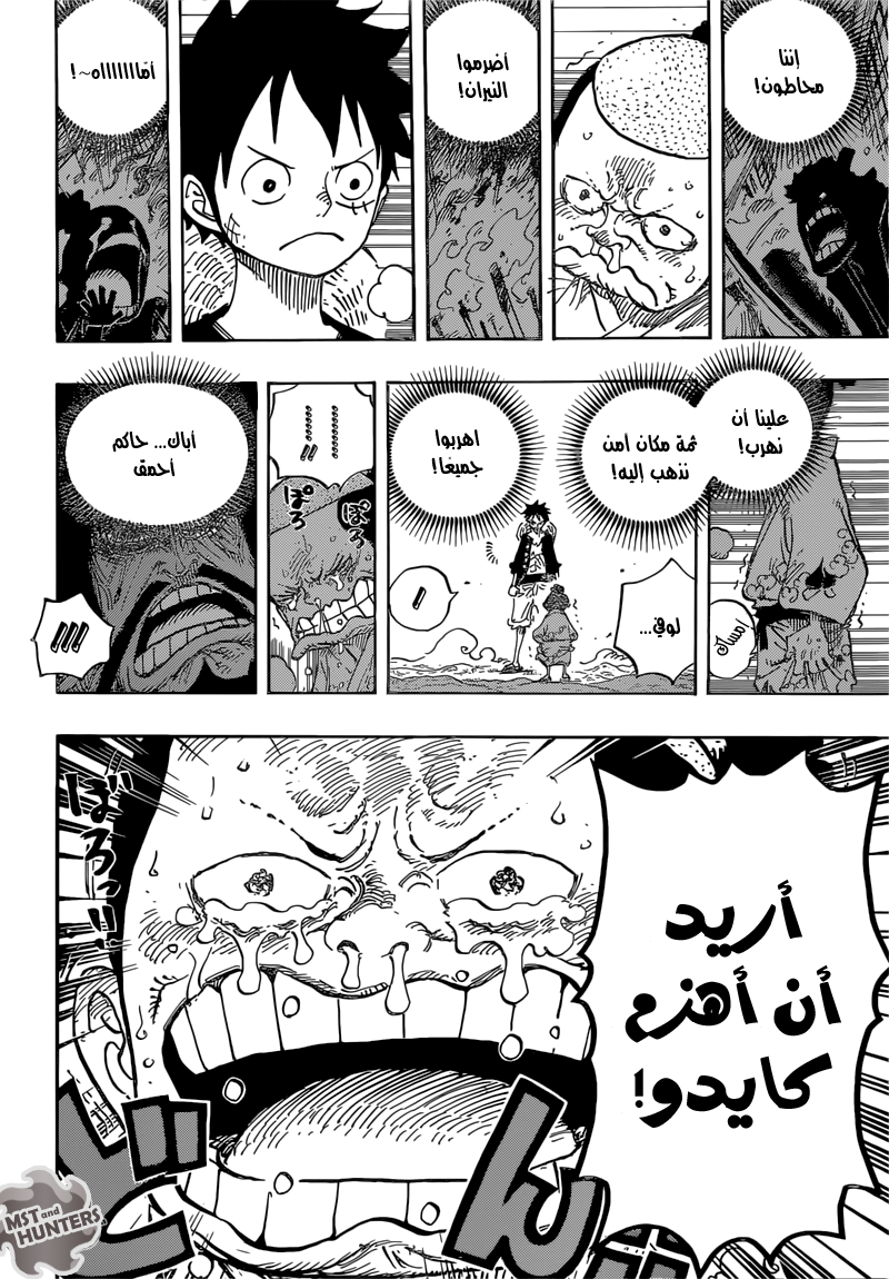 One Piece: Chapter 819 - Page 11