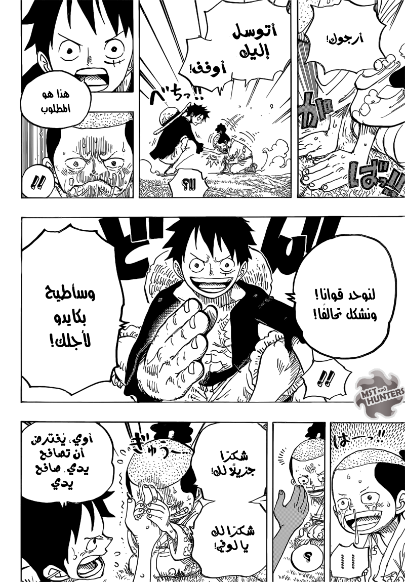 One Piece: Chapter 819 - Page 13