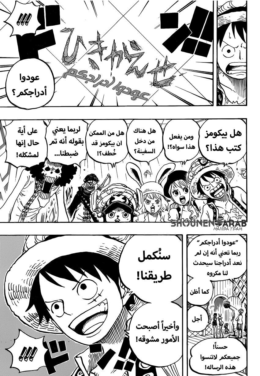 One Piece: Chapter 828 - Page 14