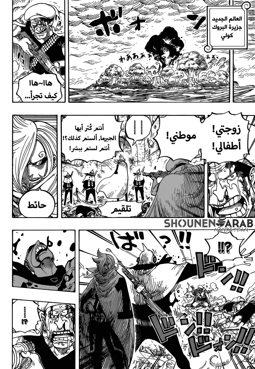 One Piece: Chapter 828 - Page 15