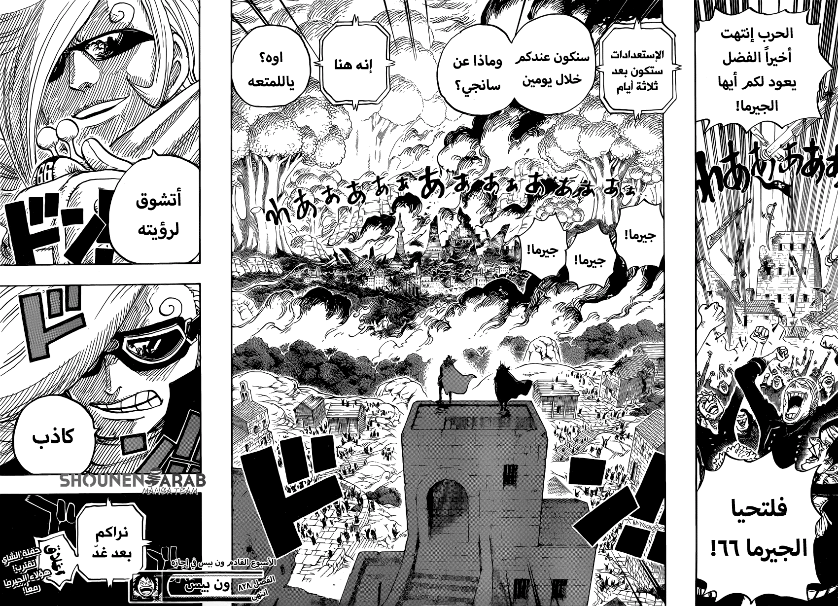 One Piece: Chapter 828 - Page 17