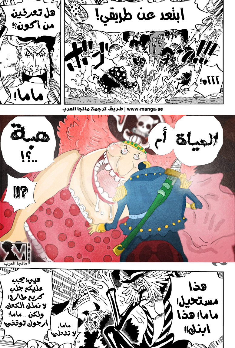 One Piece: Chapter 829 - Page 12