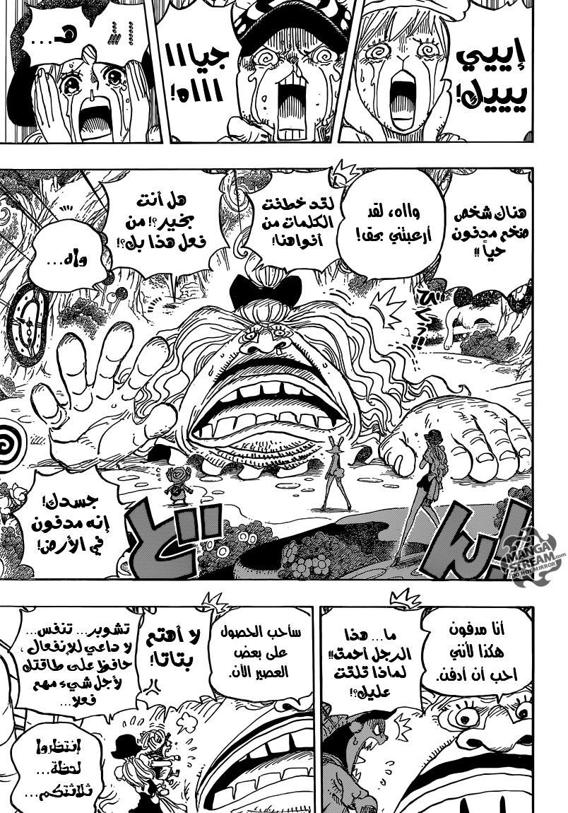 One Piece: Chapter 831 - Page 17