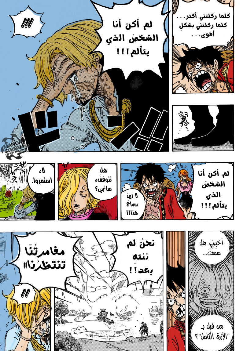 One Piece: Chapter 844 - Page 19