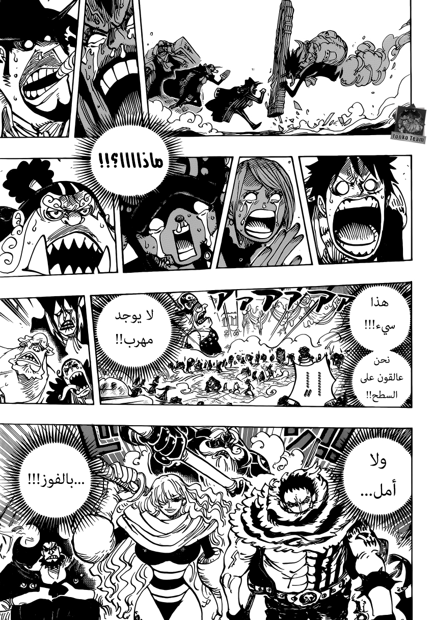 One Piece: Chapter 868 - Page 13