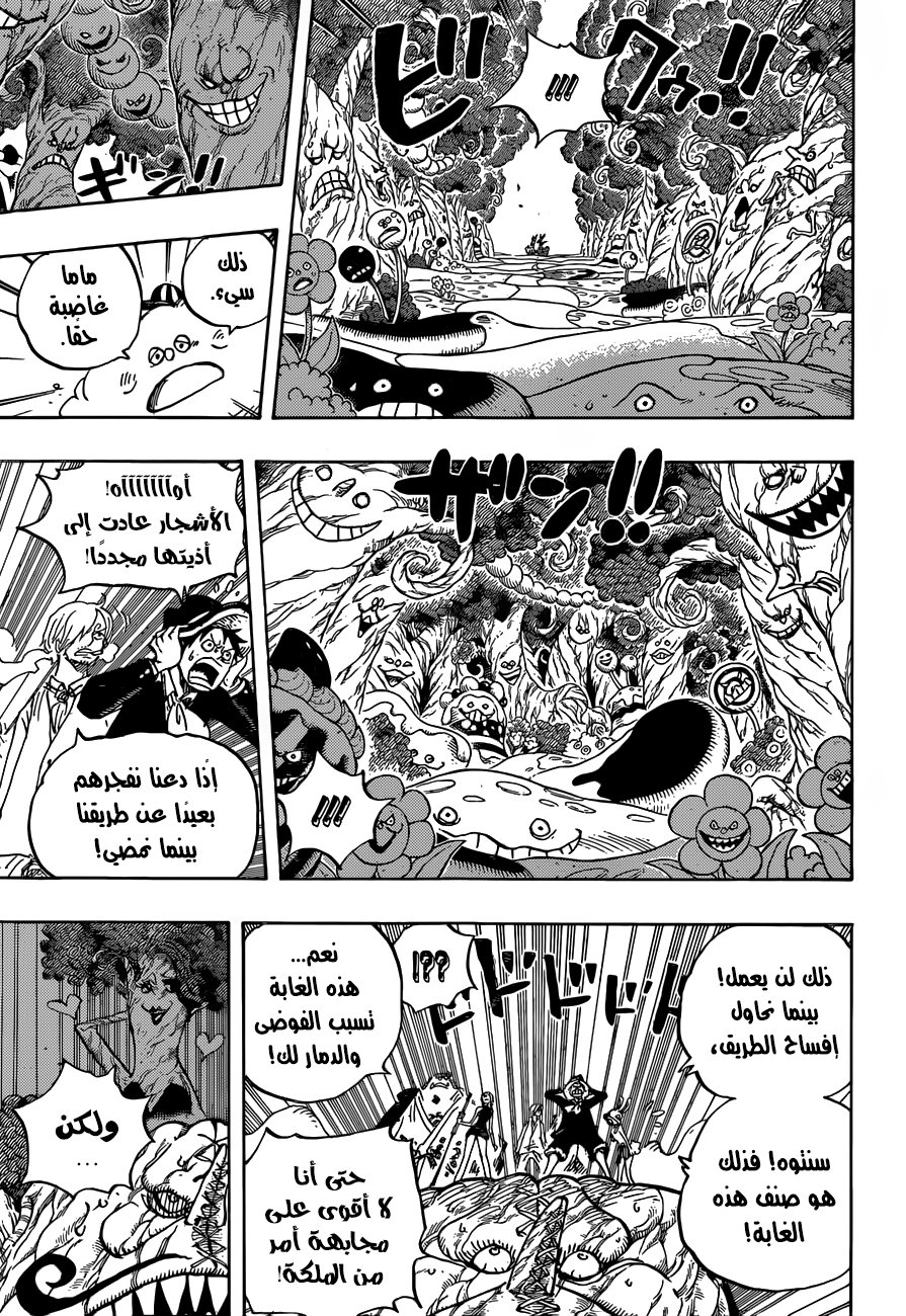 One Piece: Chapter 874 - Page 13