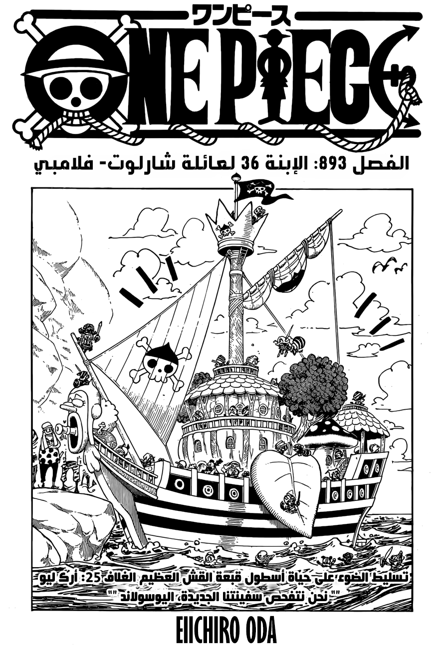 One Piece: Chapter 893 - Page 1