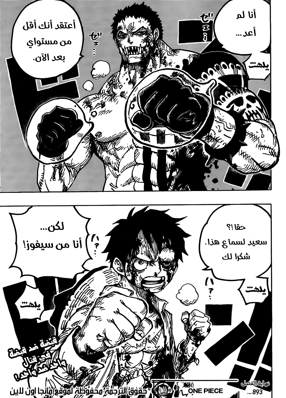One Piece: Chapter 893 - Page 18
