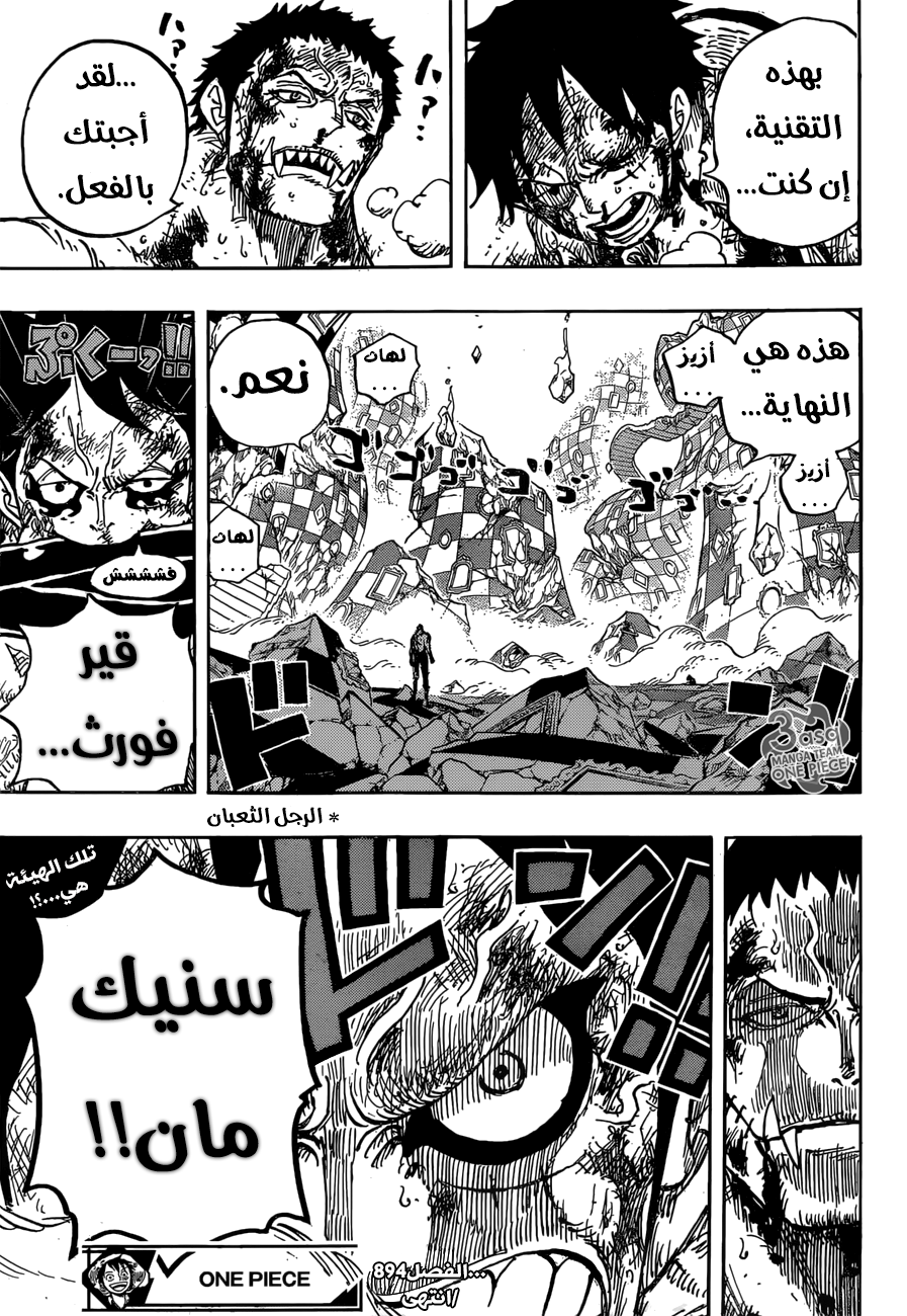 One Piece: Chapter 894 - Page 16