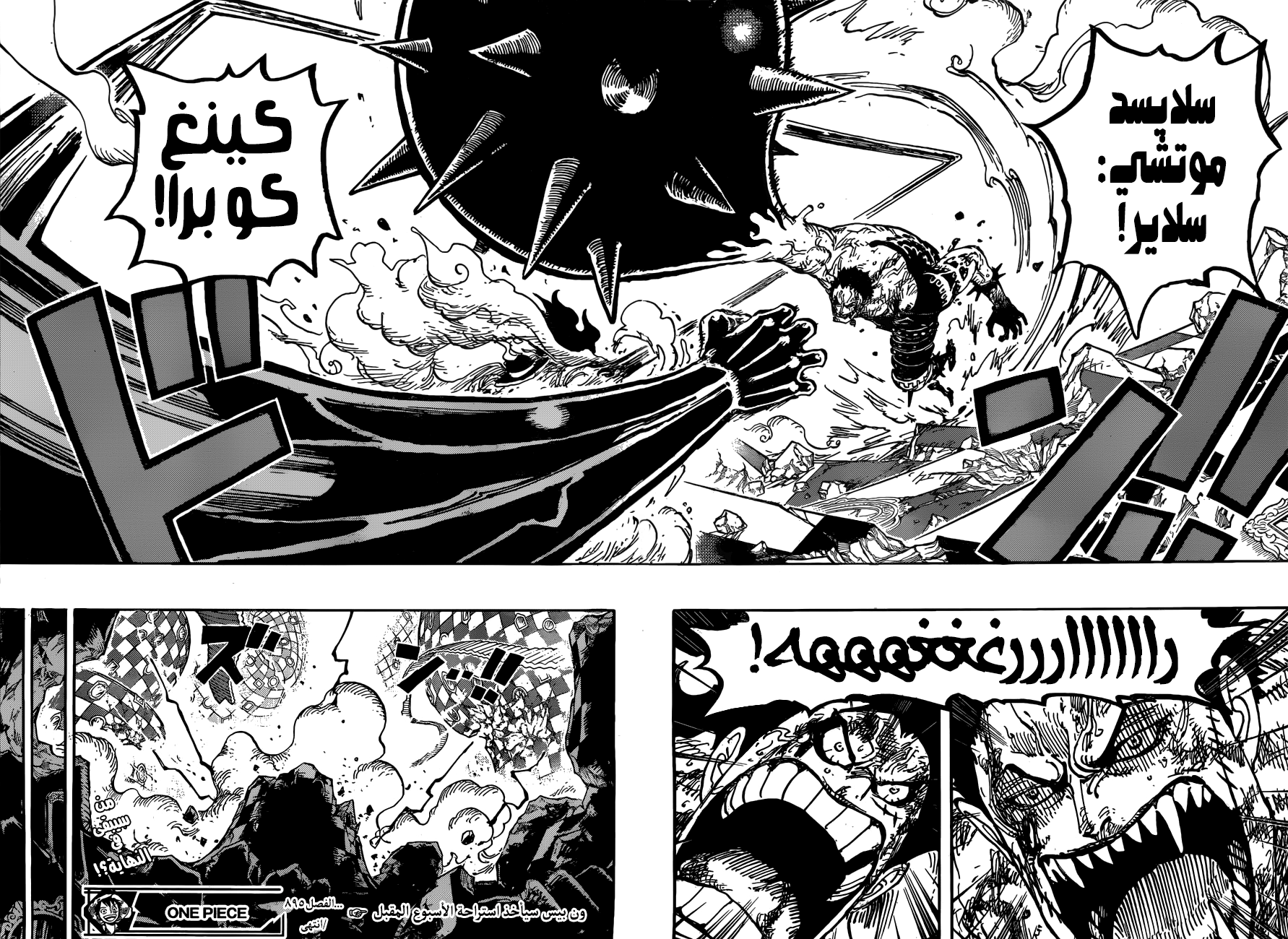 One Piece: Chapter 895 - Page 16