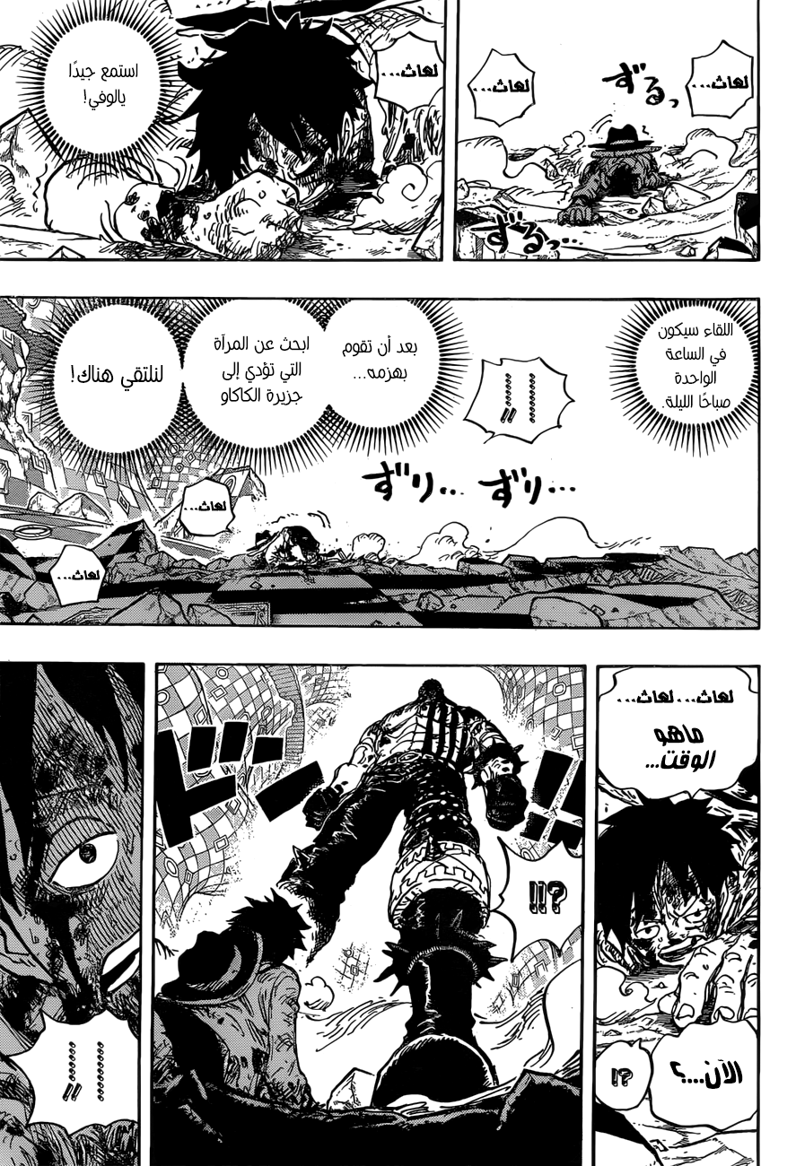 One Piece: Chapter 896 - Page 12