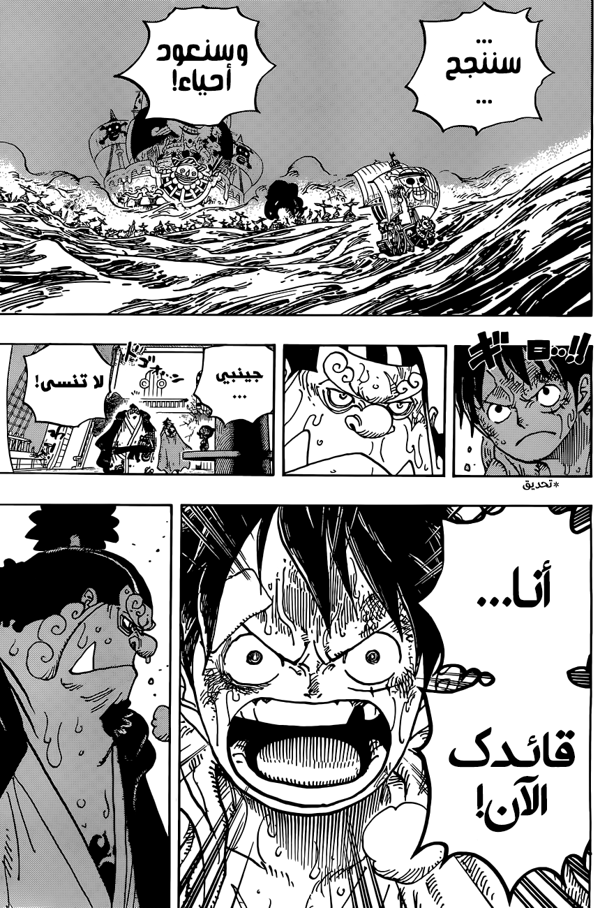 One Piece: Chapter 901 - Page 13