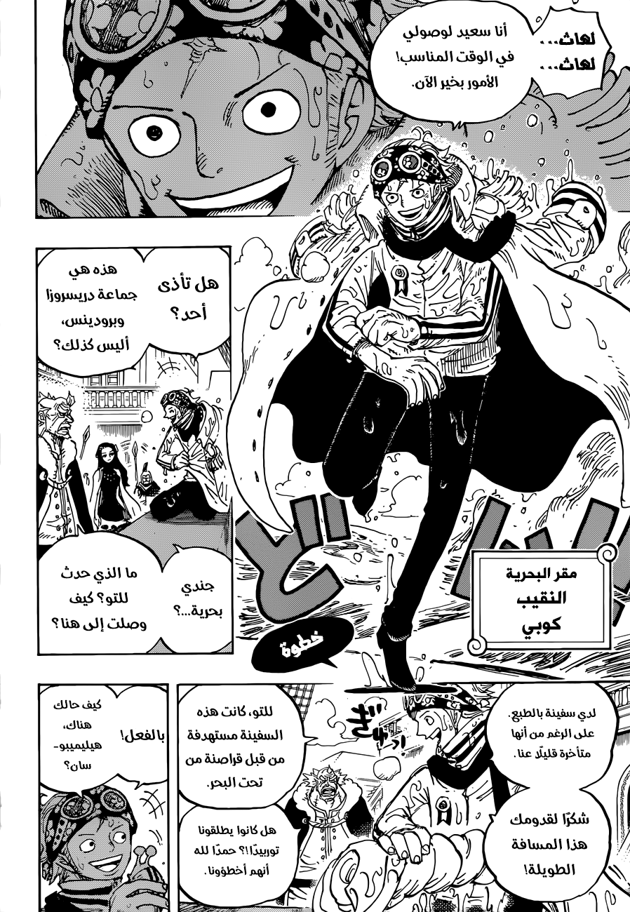 One Piece: Chapter 903 - Page 13