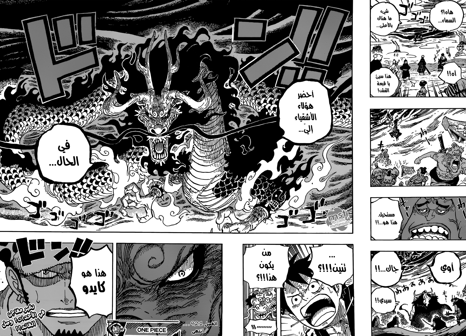 One Piece: Chapter 921 - Page 17