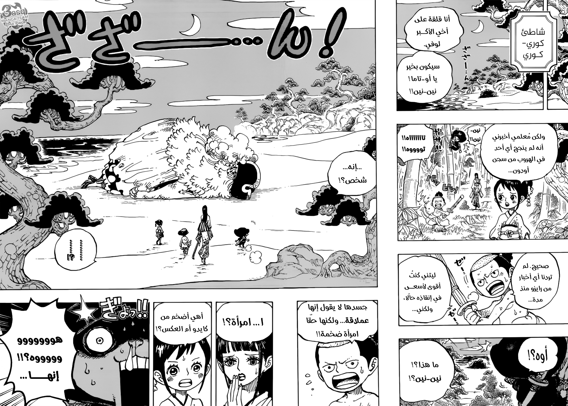 One Piece: Chapter 931 - Page 14