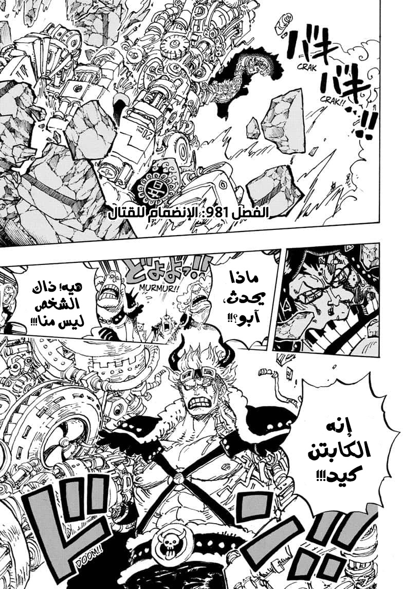 One Piece: Chapter 981 - Page 3