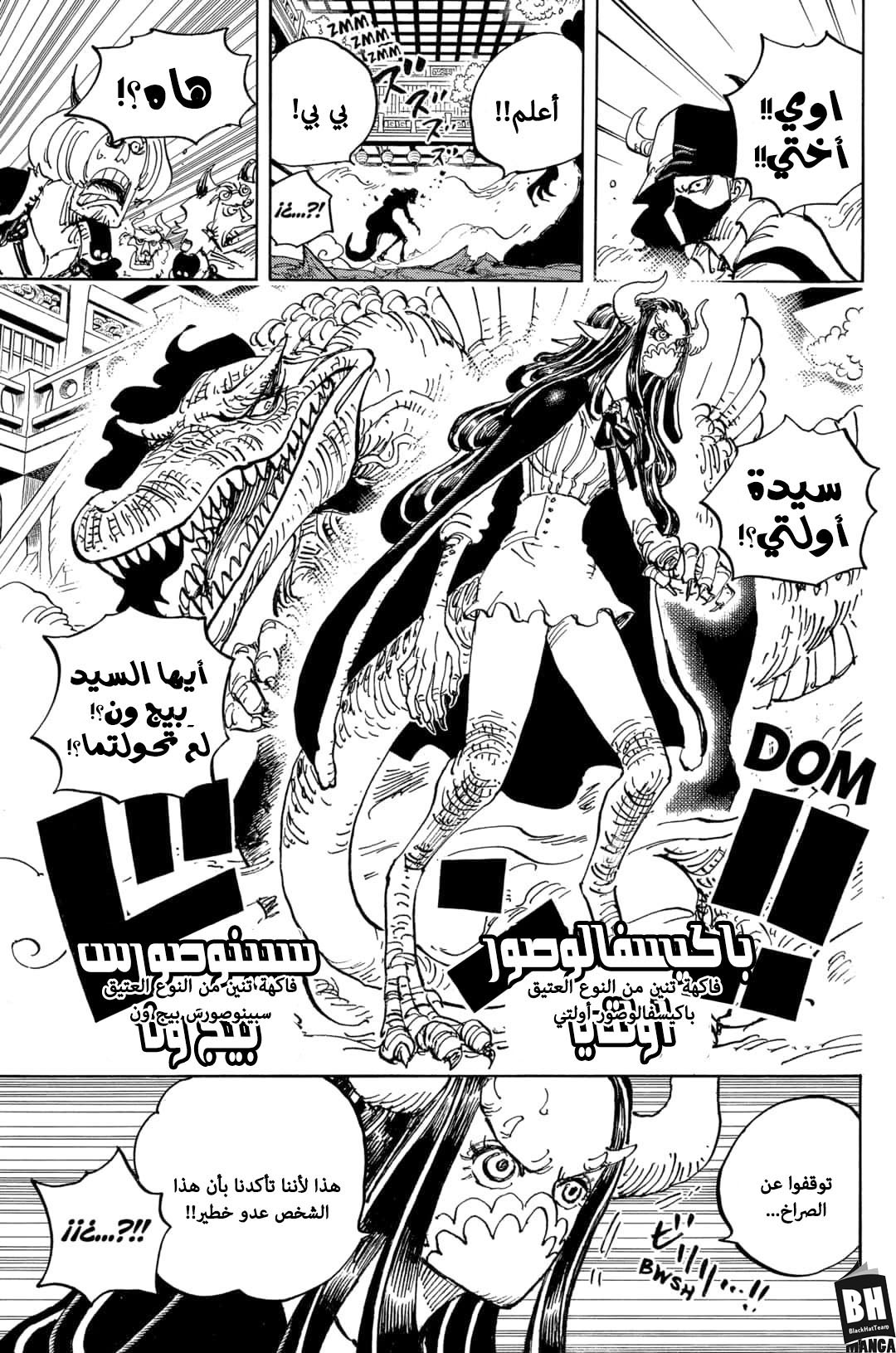 One Piece: Chapter 983 - Page 12