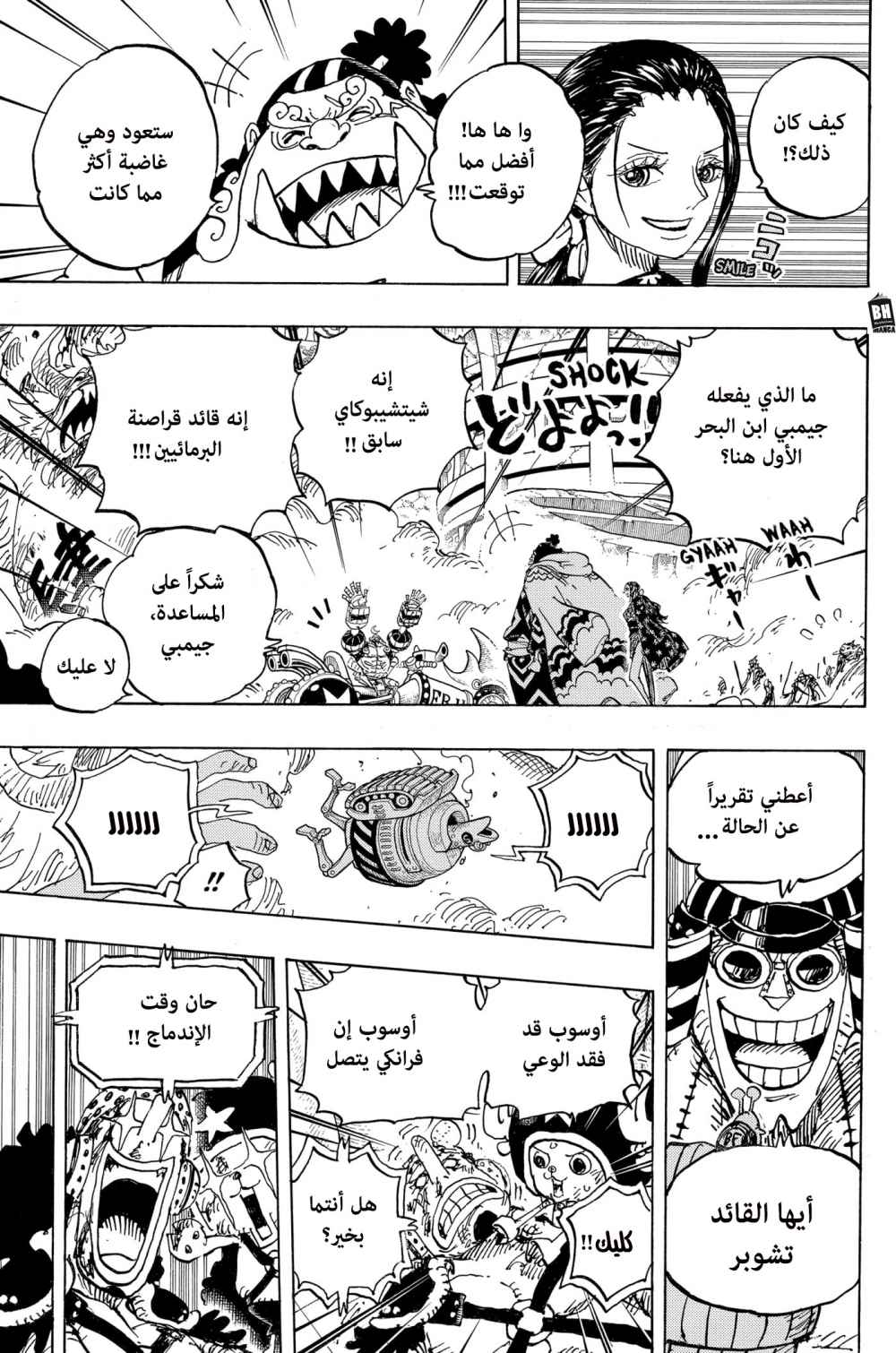 One Piece: Chapter 989 - Page 10