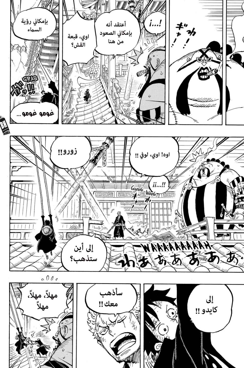 One Piece: Chapter 989 - Page 11