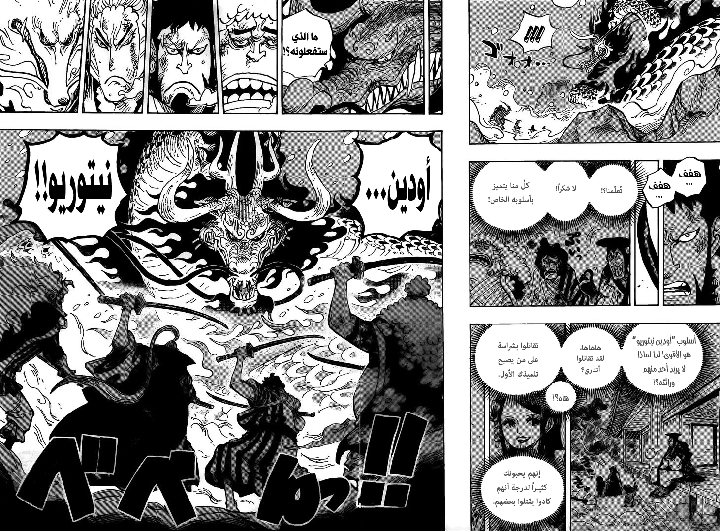 One Piece: Chapter 992 - Page 13