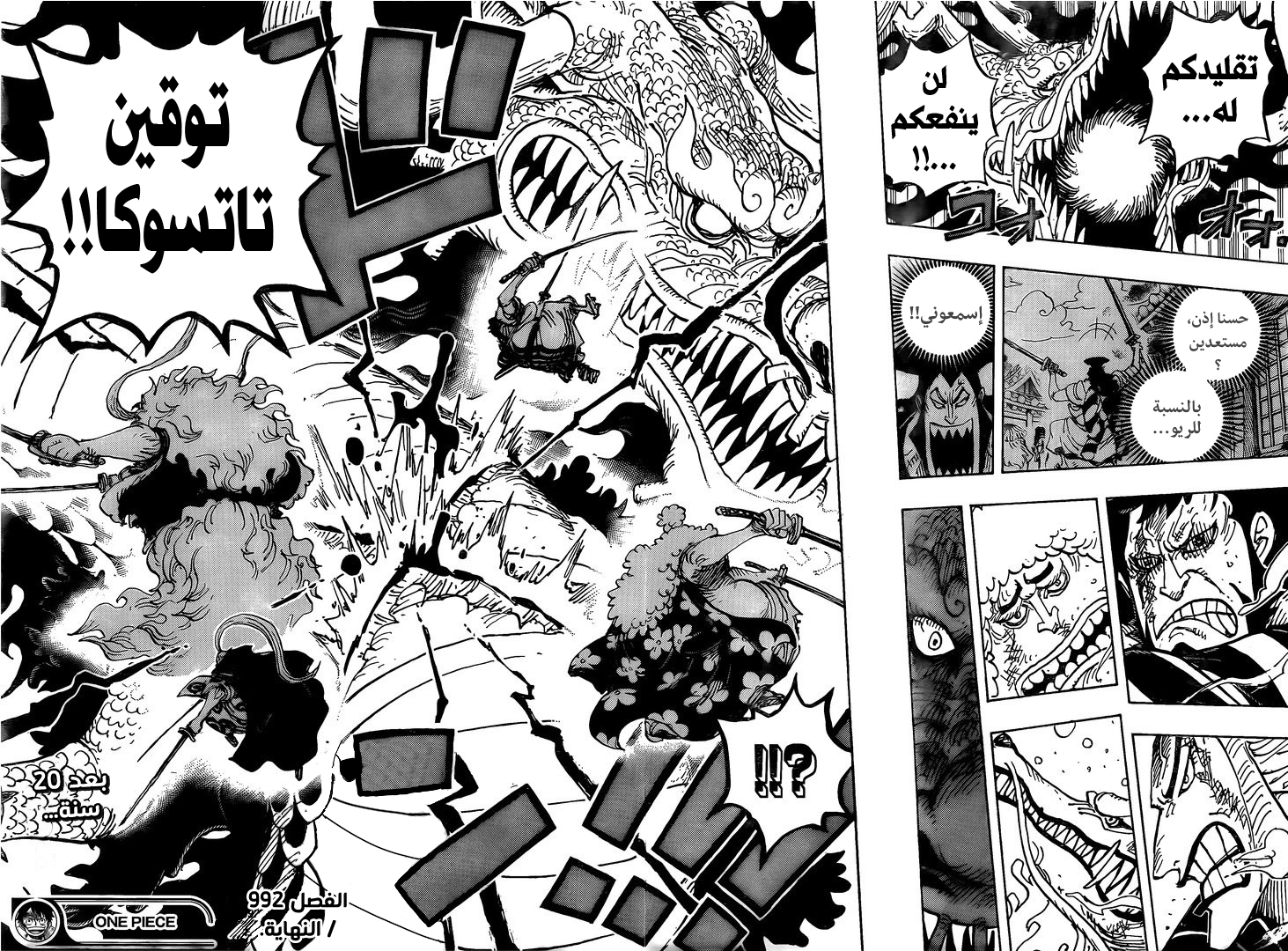 One Piece: Chapter 992 - Page 14