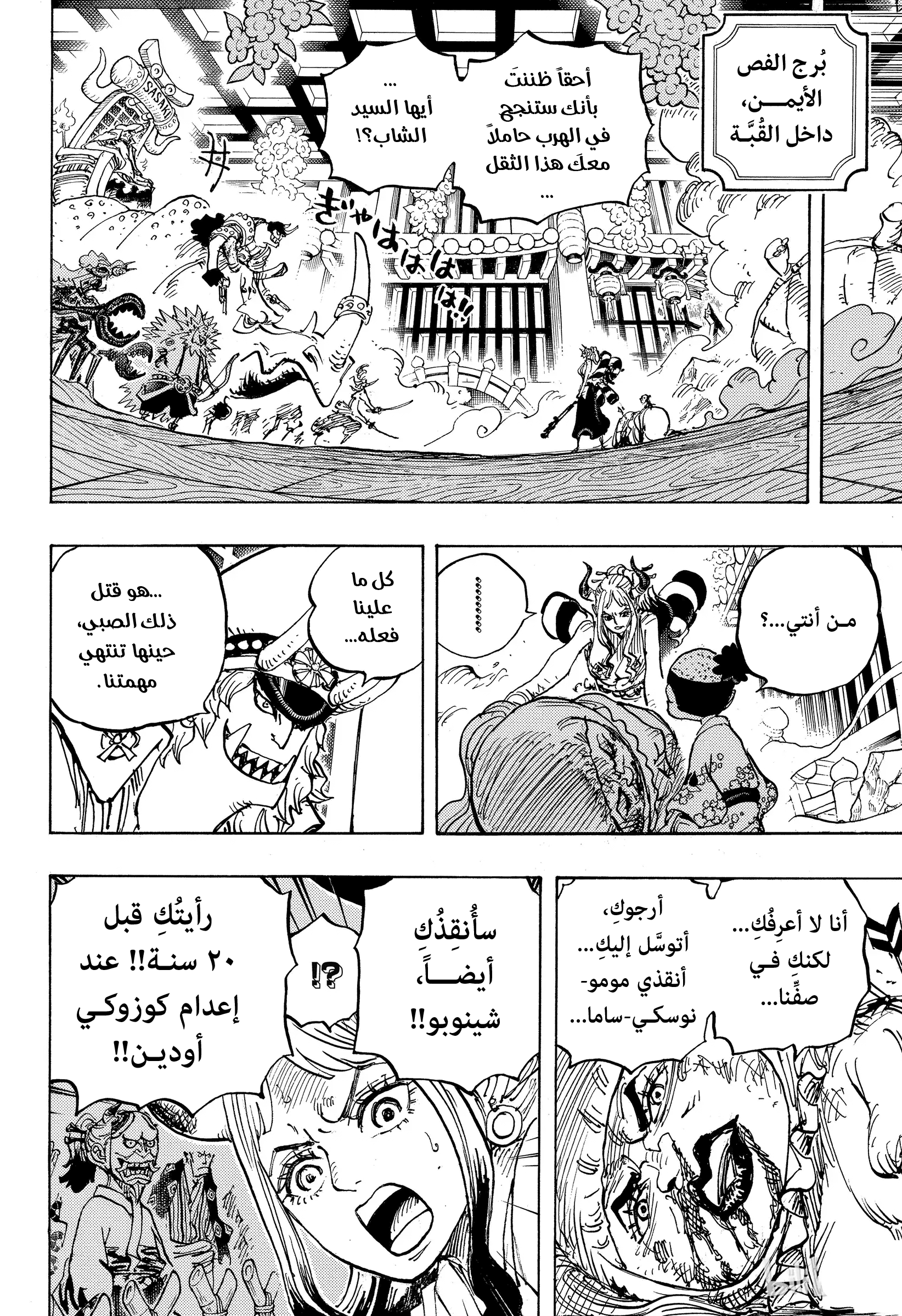 One Piece: Chapter 994 - Page 13