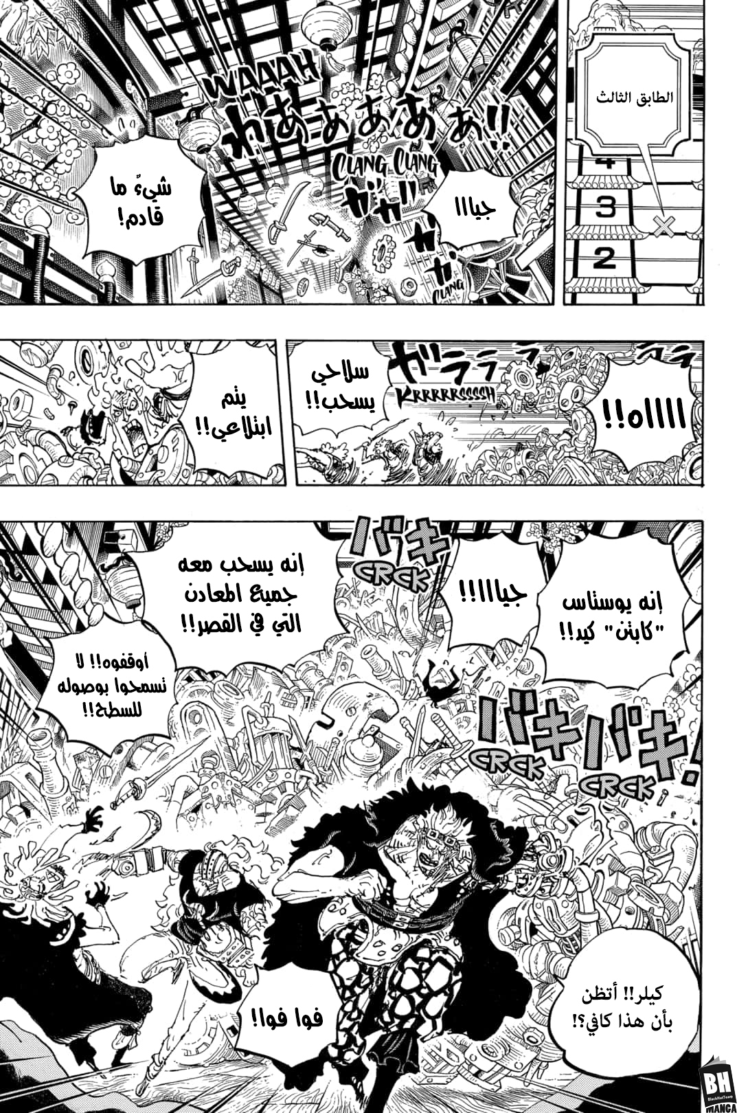 One Piece: Chapter 996 - Page 14