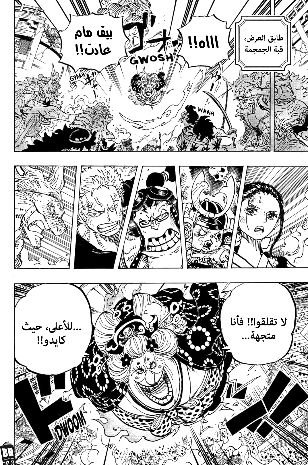One Piece: Chapter 996 - Page 17