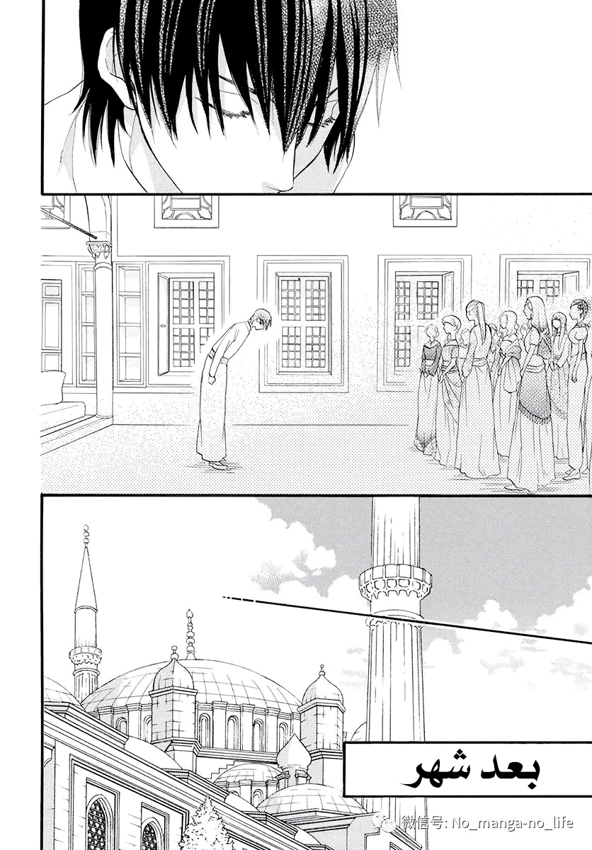 Sabaku no Harem: Chapter 41 - Page 8