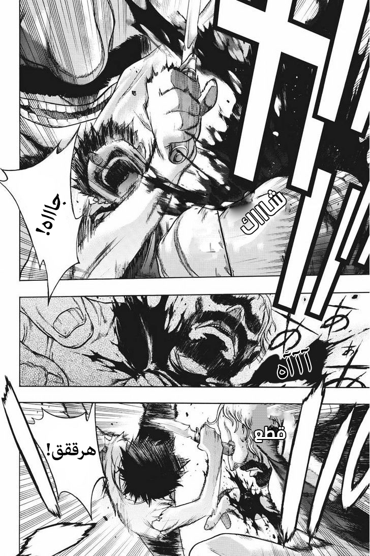 Shingeki no Kyojin - Before the Fall: Chapter 12 - Page 30