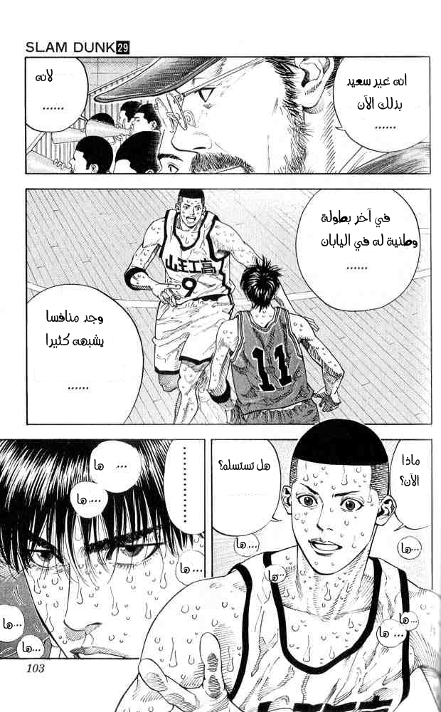 Slam Dunk: Chapter 256 - Page 17