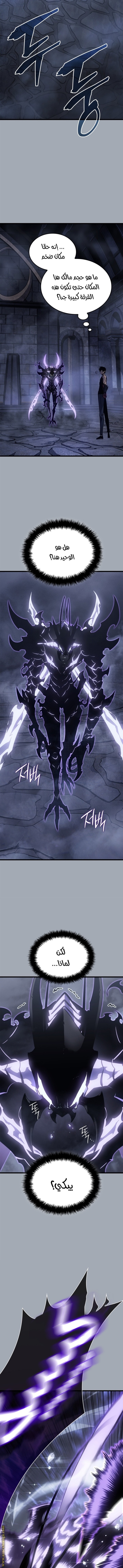 Solo Leveling: Chapter 196 - Page 15