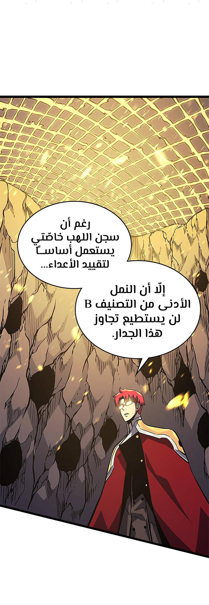 Solo Leveling: Chapter 96 - Page 10