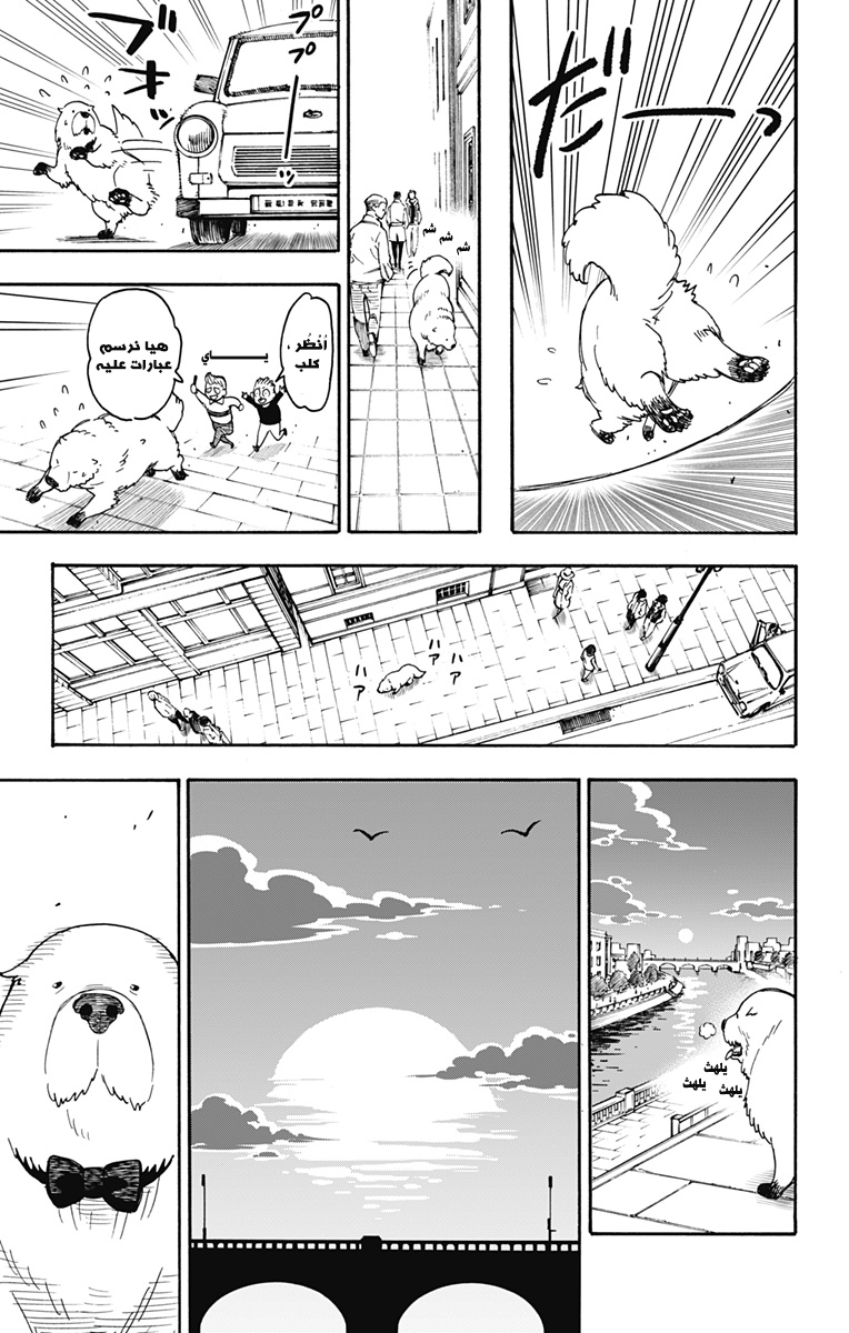 Spy x Family: Chapter 40 - Page 14
