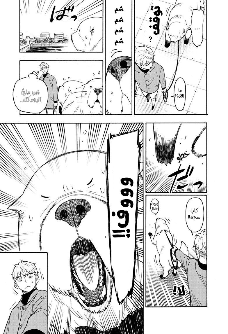Spy x Family: Chapter 58 - Page 14
