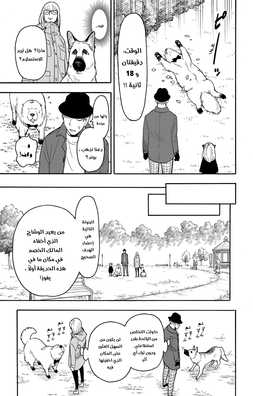 Spy x Family: Chapter 78 - Page 15