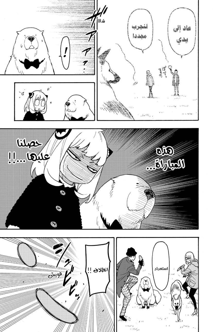 Spy x Family: Chapter 78 - Page 19