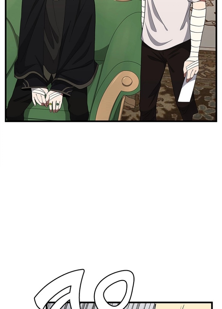 The Beginning After the End: Chapter 75 - Page 65