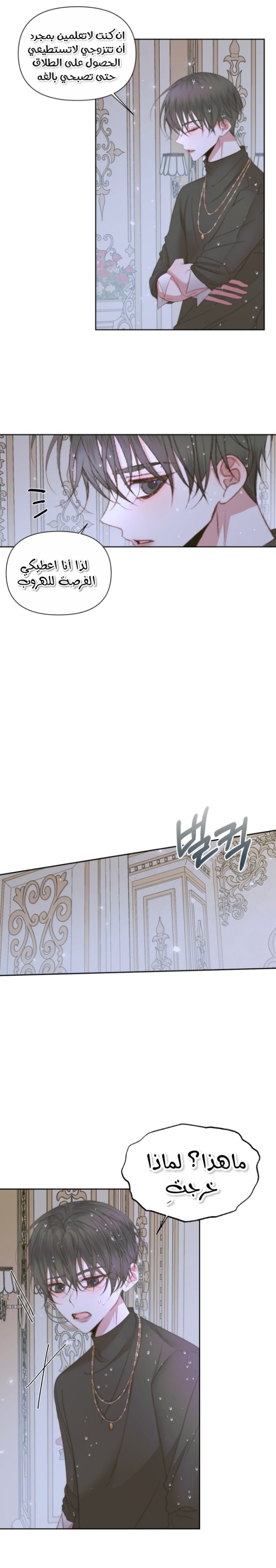 The Siren: Becoming the Villain's Family: Chapter 36 - Page 17