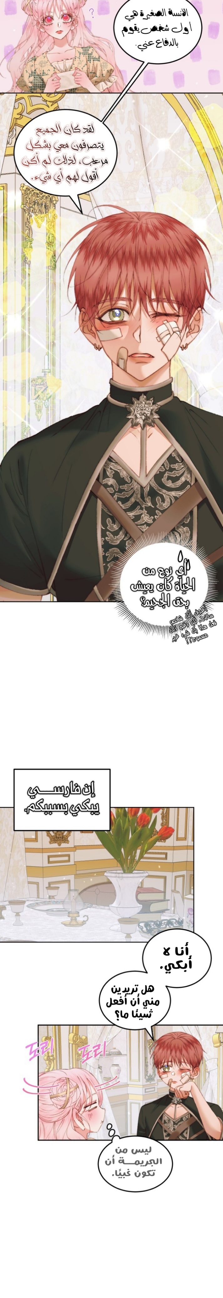 The Siren: Becoming the Villain's Family: Chapter 53 - Page 13