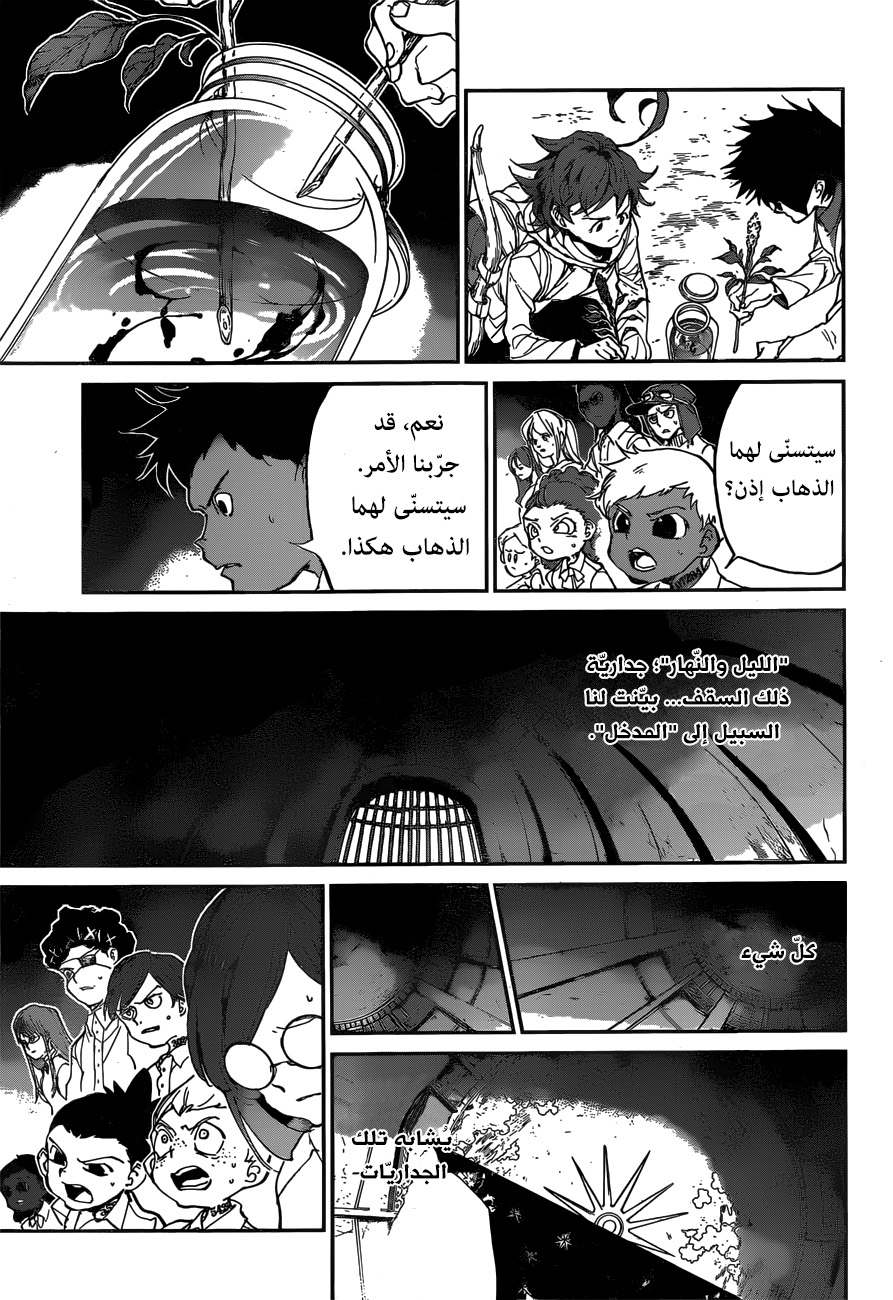 The Promised Neverland: Chapter 131 - Page 5
