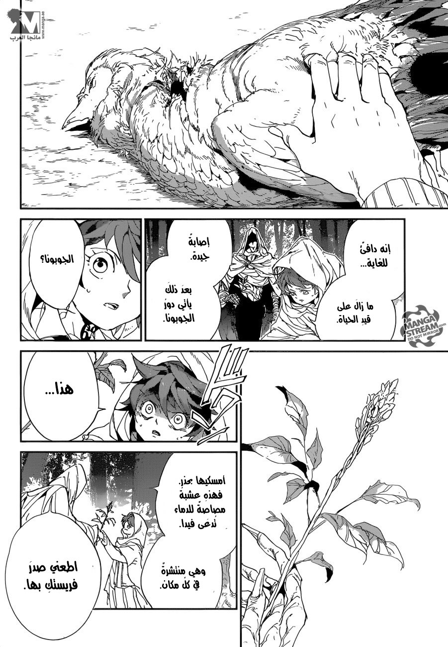The Promised Neverland: Chapter 49 - Page 15