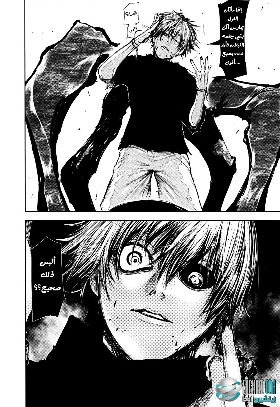 Tokyo Ghoul: Chapter 66 - Page 14