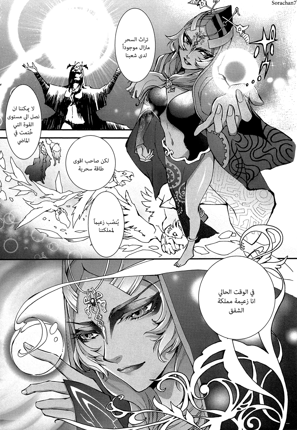 Zelda no Densetsu: Twilight Princess: Chapter 1 - Page 9